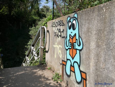 Sentier des Douaniers - Les Oides