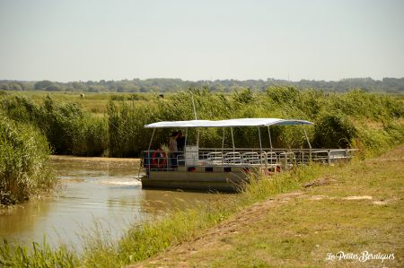 bateau fond plat lavau sur loire