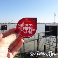 saint-nazaire - don du sang - journee mondiale