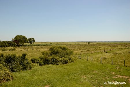 Vue de le Bienveilleuse