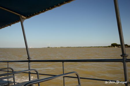 Croisière sur l'estuaire