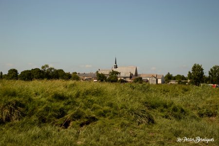 Lavau-sur-loire