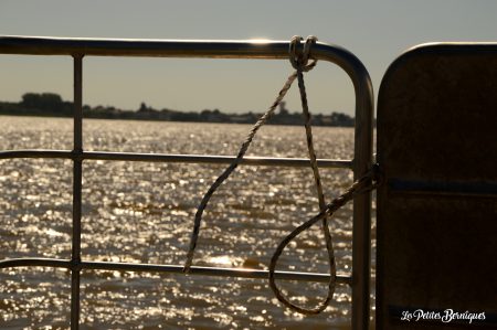 Croisière sur l'estuaire