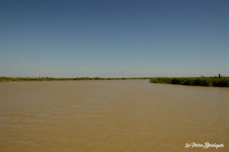 Croisière sur l'estuaire