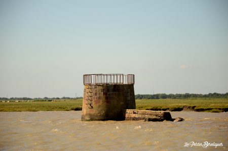 Croisière sur l'estuaire