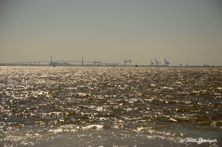 Croisière sur l'estuaire