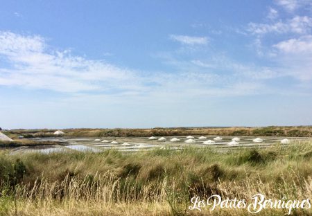 Les marais salants