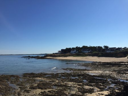 La côte sauvage - Quimiac