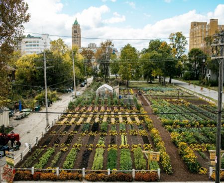 Projet de ferme urbaine à Detroit