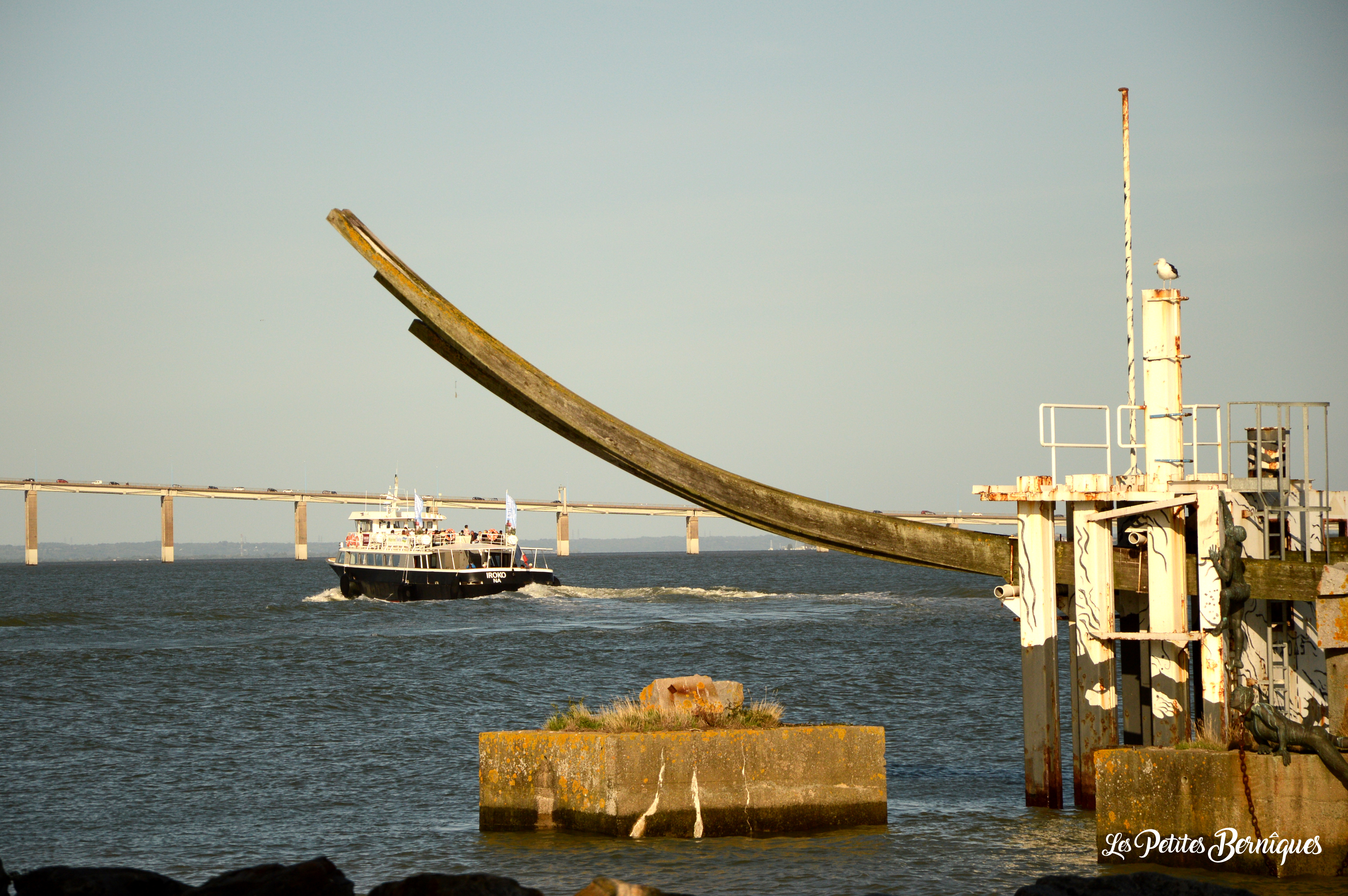 Croisières-découvertes Saint-Nazaire