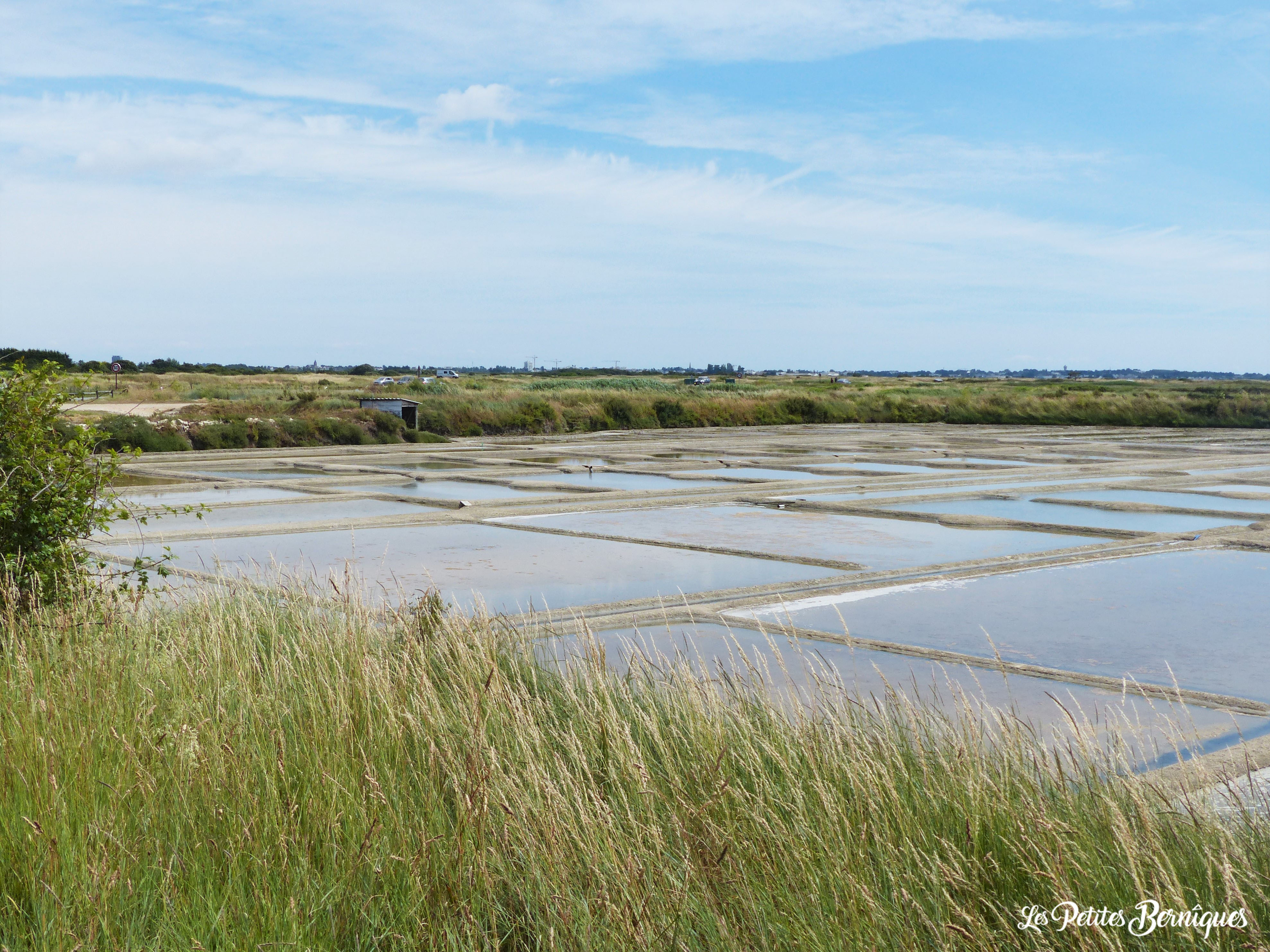 Marais salants vous avez toujours rêvé d'en savoir plus