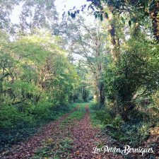 Les chemins de campagne