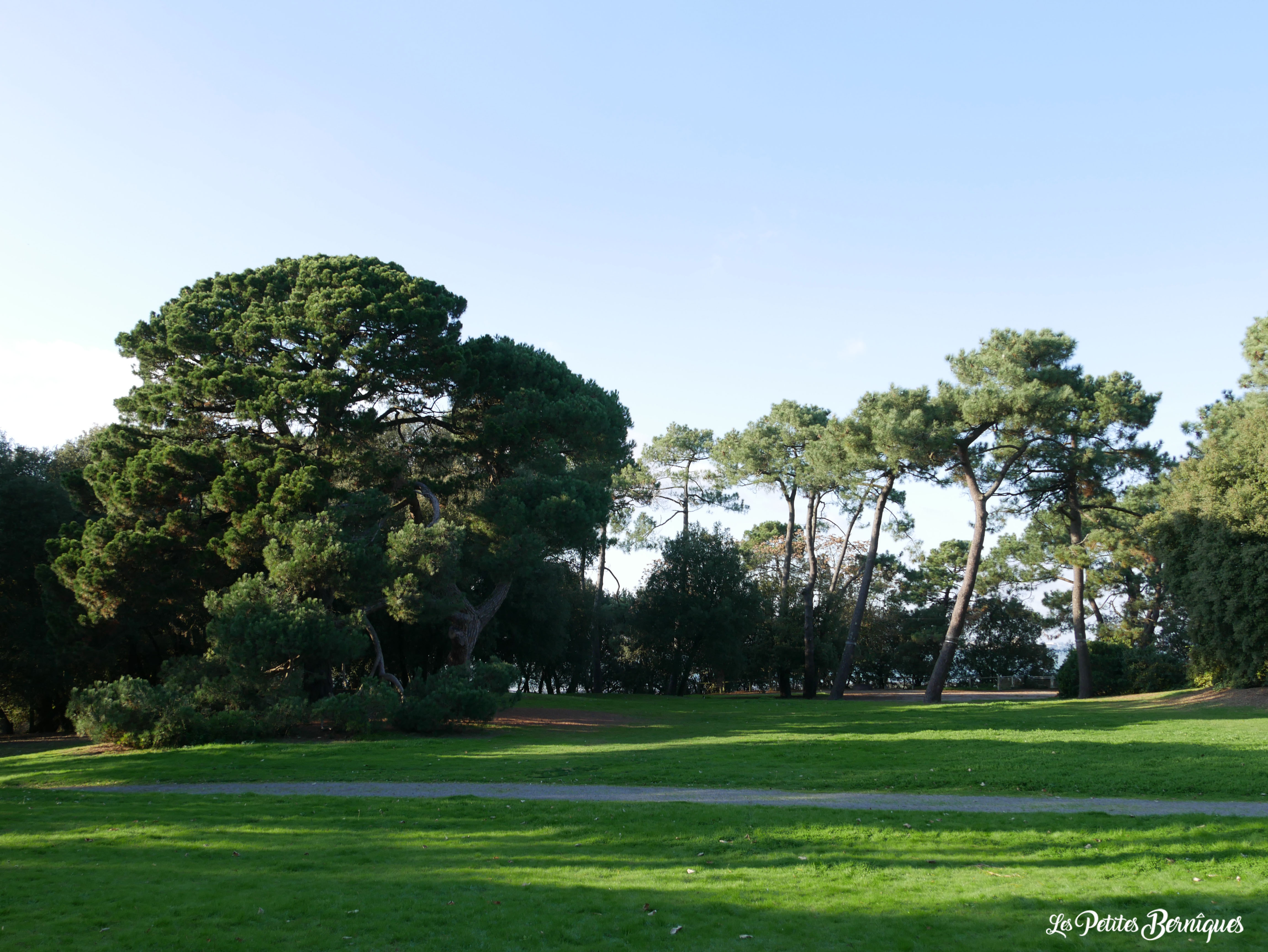Balade atypique : Parc du Pointeau