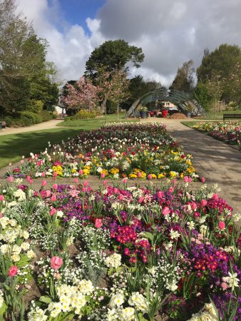 jardin des plantes