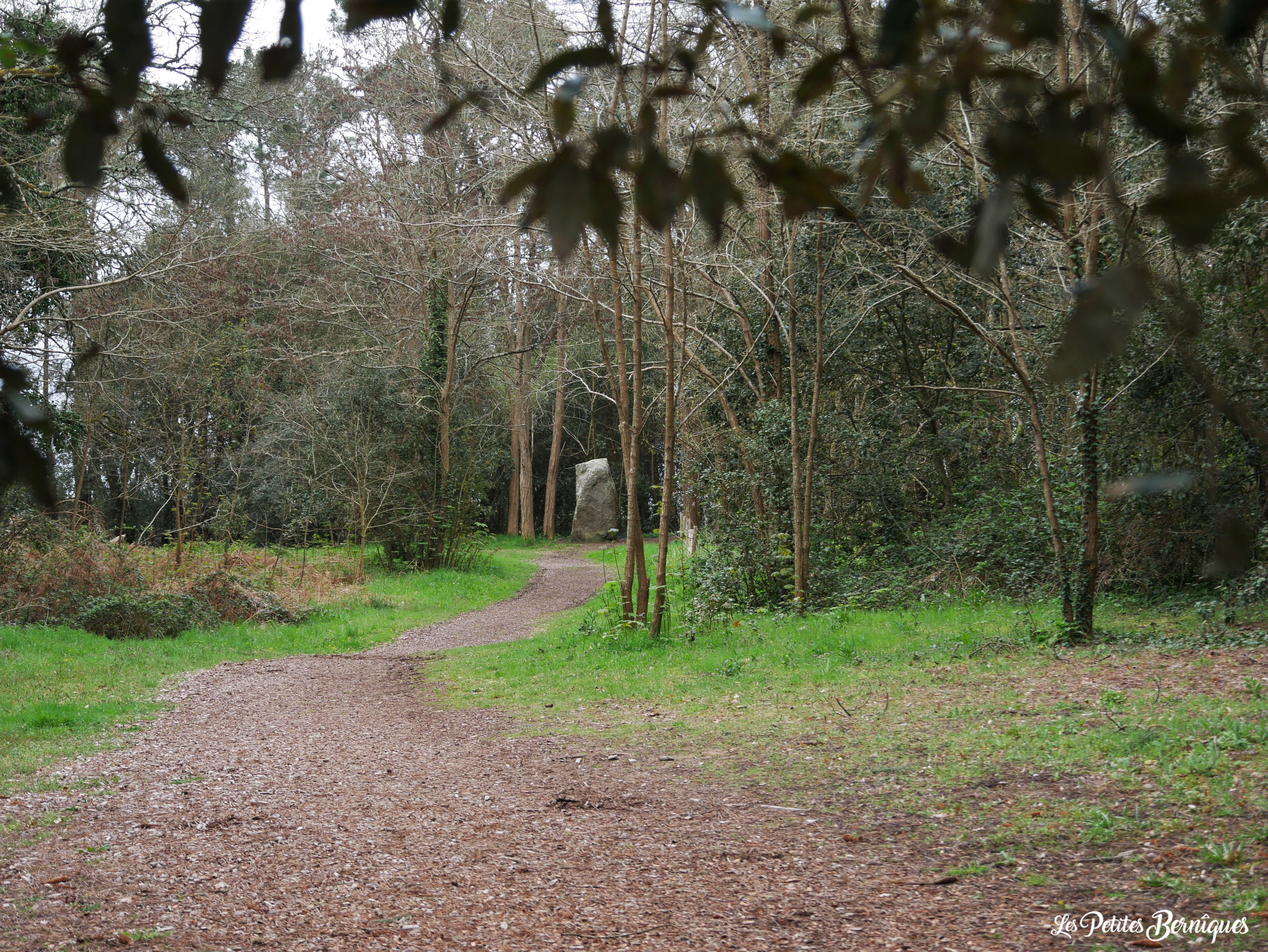 Forêt de la Pierre Attelée - Saint-Brévin