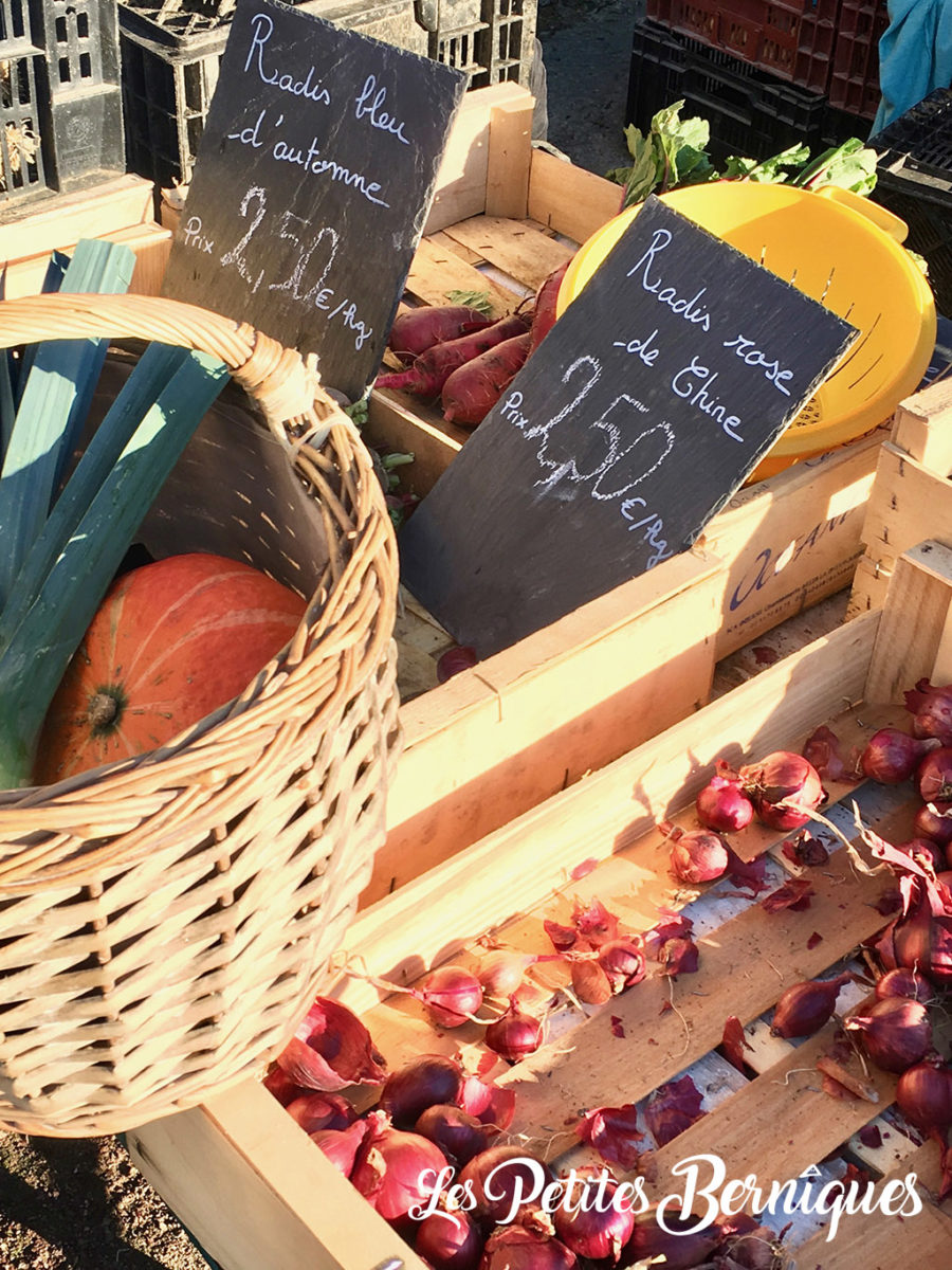 La Ferme des Petites Mottes