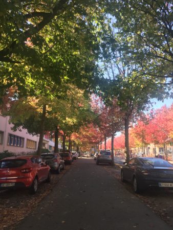 Boulevard de la libération