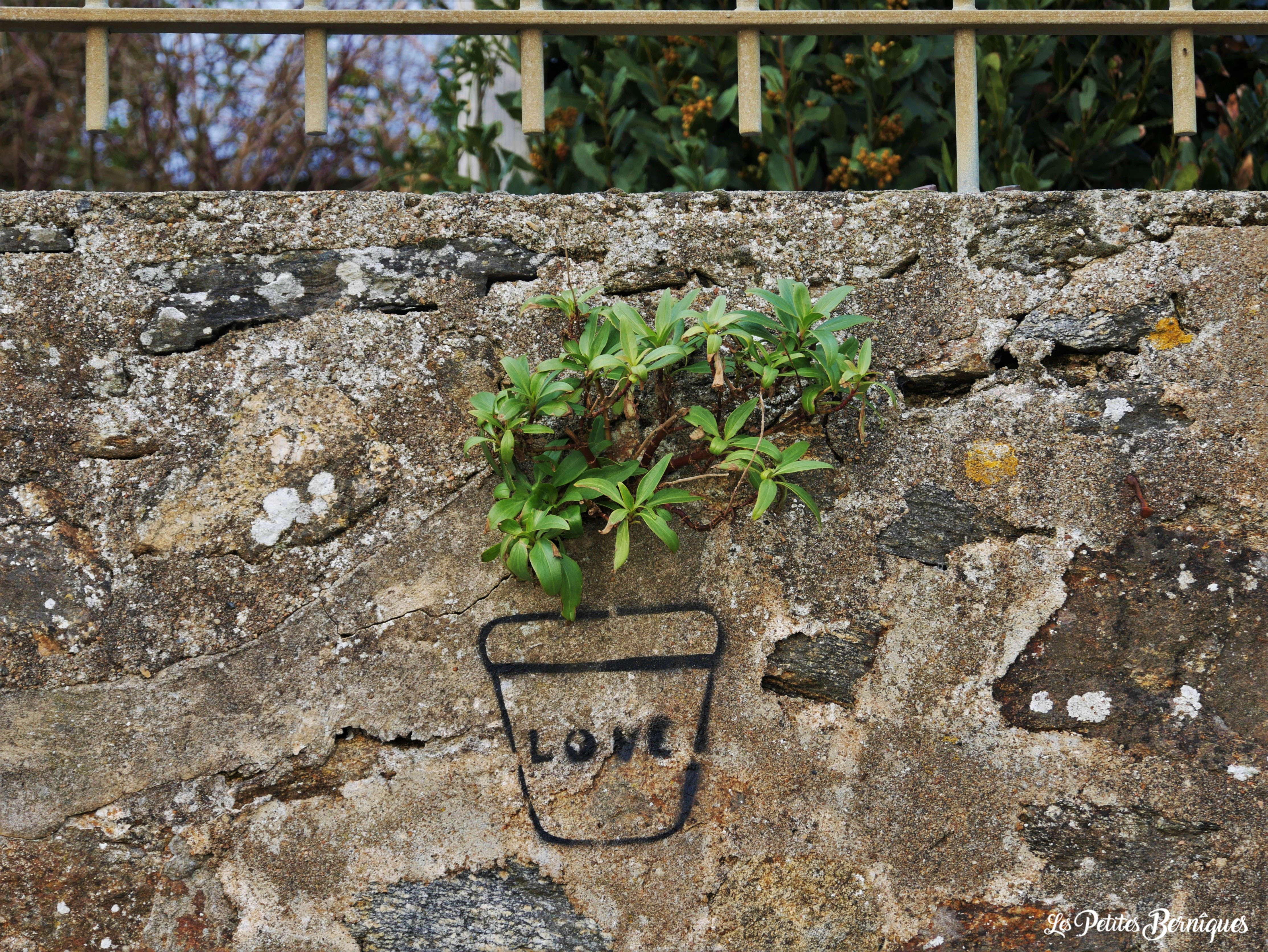 Pot de fleurs love Saint-Nazaire