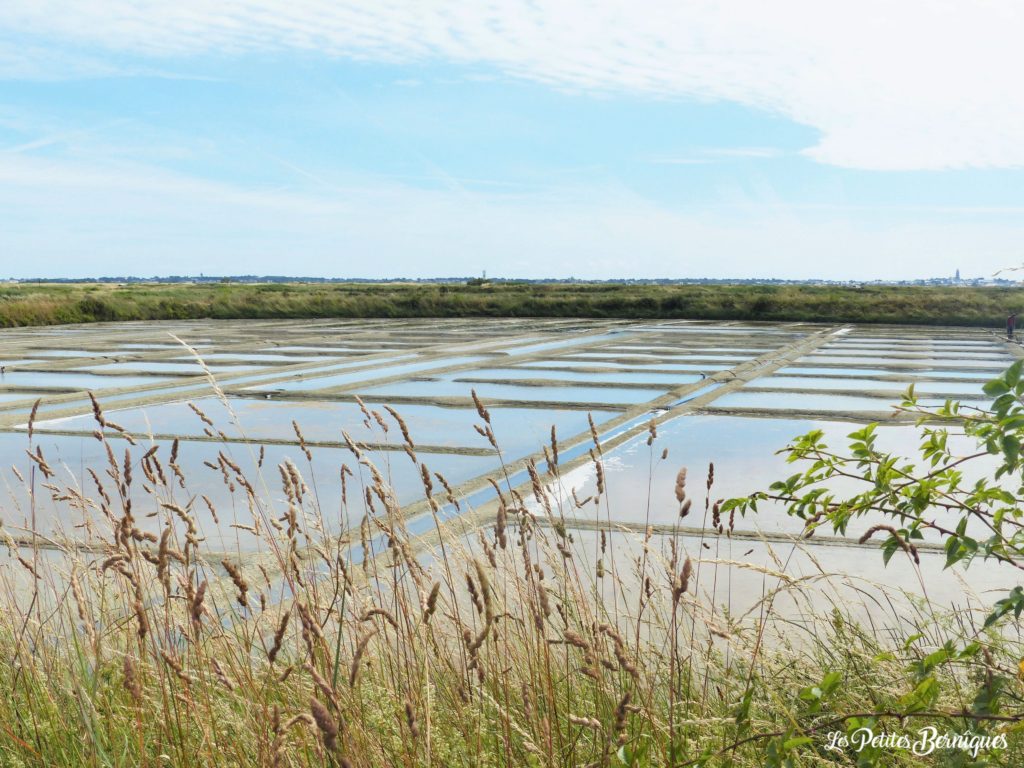 Marais salants, sel de Guerande