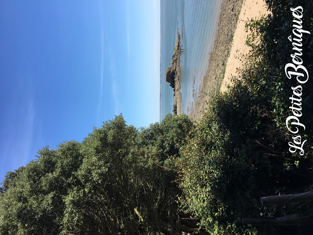 Saint-Nazaire - plage rocher du lion