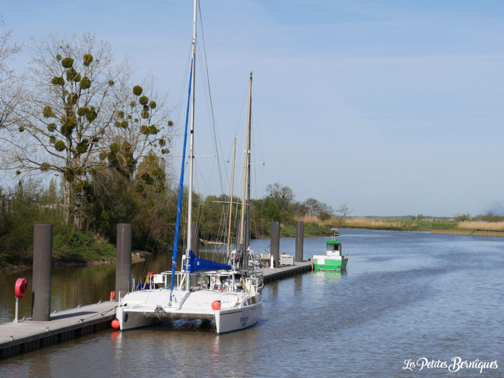 Terre d'estuaire, Cordemais