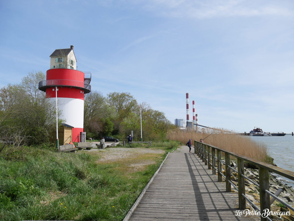 Terre d'estuaire, Cordemais