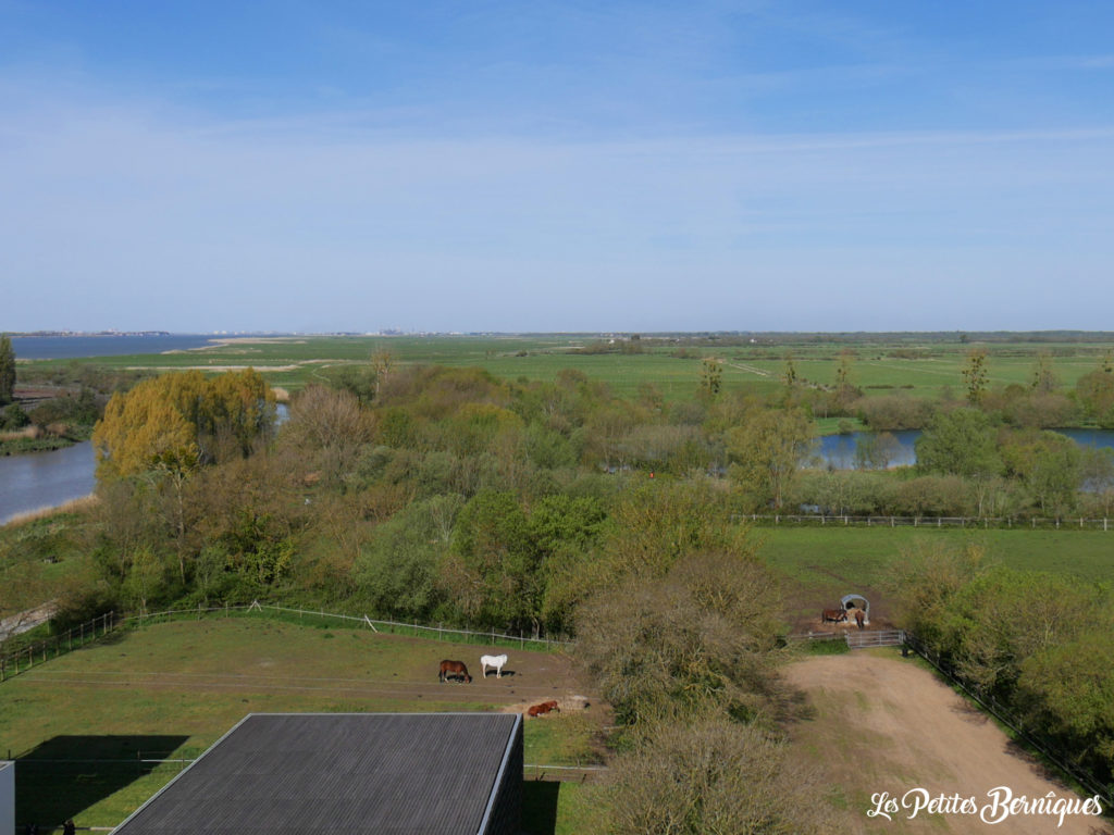 Terre d'estuaire, Cordemais