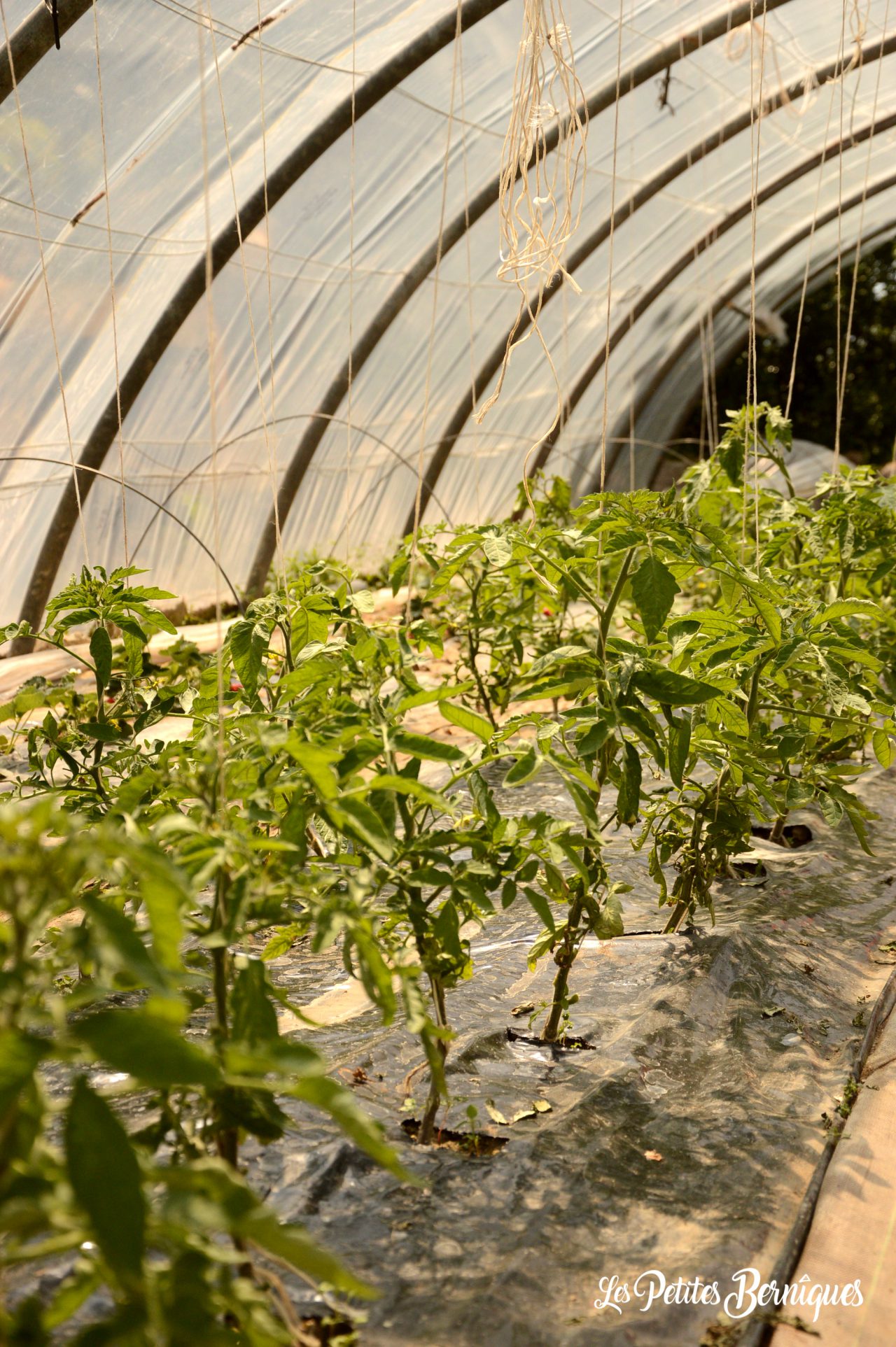 Au jardin 44 des 5 sens : Un jardin pas comme les autres